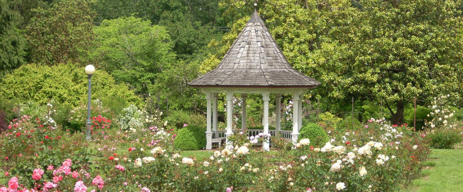 Bush's Pasture Park Gazebo & Rose Garden